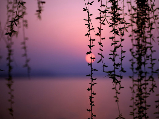 48882 (a): :1600x1200